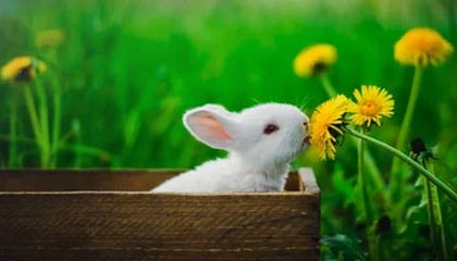 开云esports-南安普顿锋线新援表现出色，南安普顿中锋